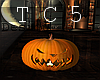 Halloween anima pumpkin