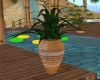 POTTED TROPICAL FERN