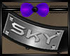 Sky's Custom Collar
