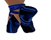 *Ney* Blue Ballet Shoes