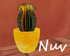 Cactus Mexican