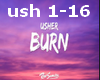 usher burn