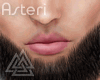 ◮ Beard  [asteri]