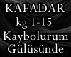 Kaybolurum Gulusunde