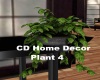 CD Home Decor Plant 4