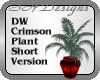 DW Plant Short Crimson