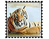 Tiger BIGGIE Stamp
