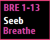 Seeb Breathe Remix