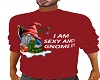 *PFE Gnome Sweater Red