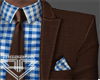 BB. Brown Fall Suit