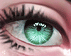 x Eyes 2TONES Green/B