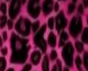 Pink Leopard Backdrop