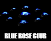 Blue Rose Dj Club