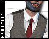 d| Tweed Vest/ Red Tie