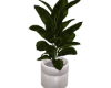 Vase Plant [01]