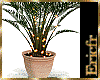 [Efr] Plant Interior 18