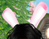 Diva Bunny Anim Ears