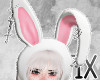 ᶻ bunny eaaars!