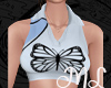 ML| Blue Top Butterfly