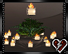 S Brold Candle plantlamp