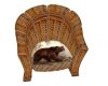 Bamboo Bear Chair
