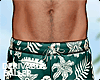 Green Beach Shorts +Tat