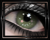 !T! Eyes | StarDust 7