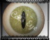 *SD* Cats Eye - Lime