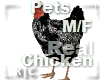 R|C Black Chicken M/F