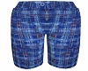 STEM Blue Plaid Shorts