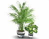PLANTS 10