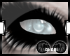 O| Harrold Eyes M/F