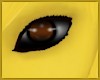 Pikachu brown Eyes (M)
