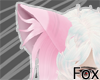 FOX Anima Ears