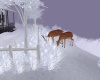Winter Deer Animated