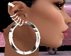 Large Hoop Earrings ++