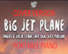 Big jet plane cover