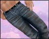 [dc] grease monkey jeans