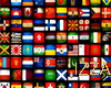 INTERNATIONAL FLAG P