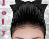 J💕 Cat Black Hair
