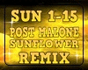 SUN-sunflower Post Malon