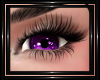 !T! Eyes | Purple