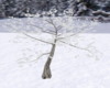 ps*tree snow