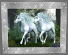 Unicorn Picture - 2