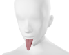 lengua