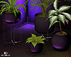 |< Plants