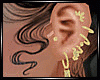 Gold Iced Earrings