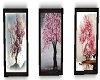 Sakura tree pictures