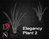Elegancy Plant 2