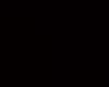 light preto